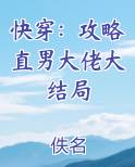 快穿:攻略直男大佬大结局小说推荐