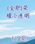 [全职]荣耀小透明