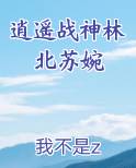 逍遥战神林北苏婉电子书