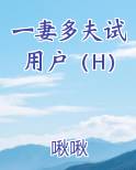 一妻多夫试用户(H)