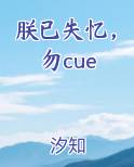 朕已失忆,勿cue