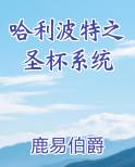 哈利波特之圣杯系统小说全文免费阅读