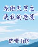 龙傲天男主是我的老婆小说下载