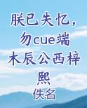 朕已失忆,勿cue端木辰公西梓熙