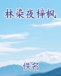 林染夜梓枫