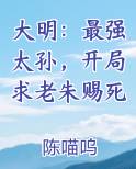 大明:最强太孙,开局求老朱赐死