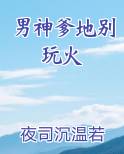 男神爹地别玩火