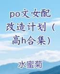 po文女配改造计划(高h合集)