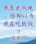 我医武双绝,你却以为我在吃软饭?
