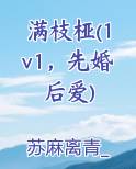 满枝桠(1v1,先婚后爱)